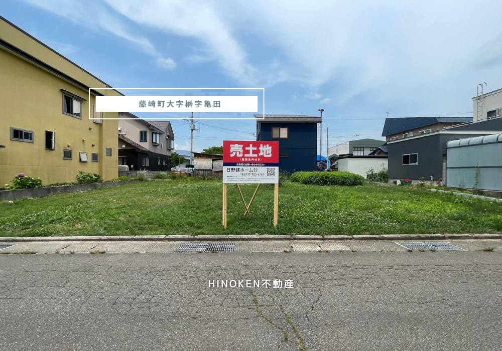 藤崎町 画像